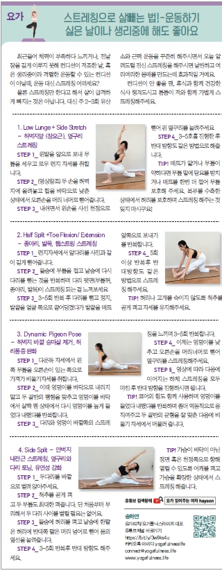 요가칼럼.jpg