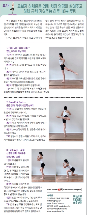 요가칼럼.jpg