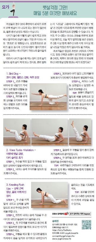 요가칼럼.jpg